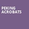 Peking Acrobats, Luther F Carson Four Rivers Center, Paducah
